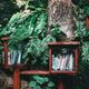 how to maintain a little free library