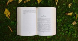 reading big books feature