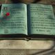 remembrance day books feature