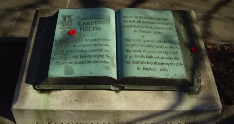 remembrance day books feature