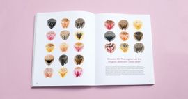 The Vulva Gallery