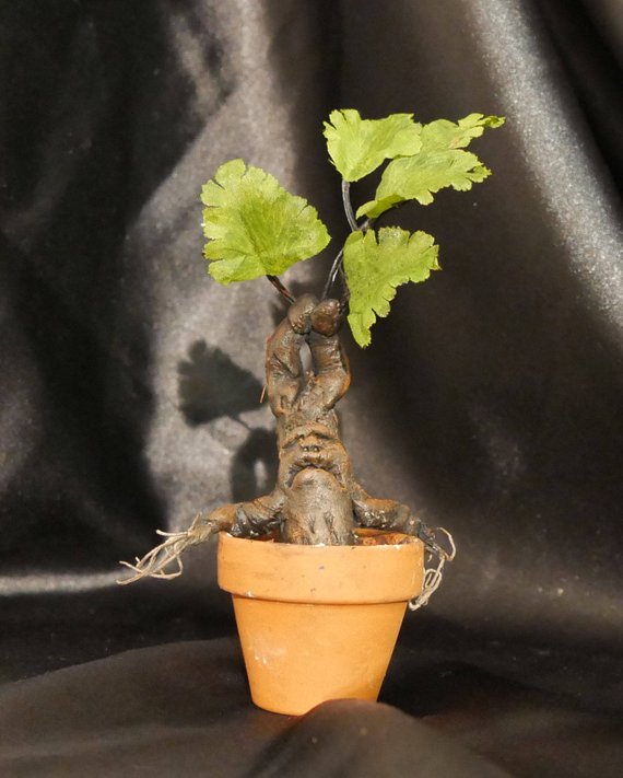 Mini Mandrake, Unique Harry Potter Gifts, Book Riot