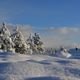 winter snow holidays feature