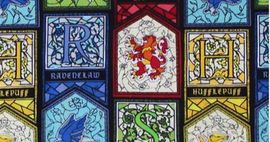 harry potter fabric feature