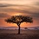 African fantasy novels