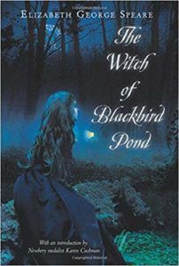 The Witch of Blackbird Pond book cover