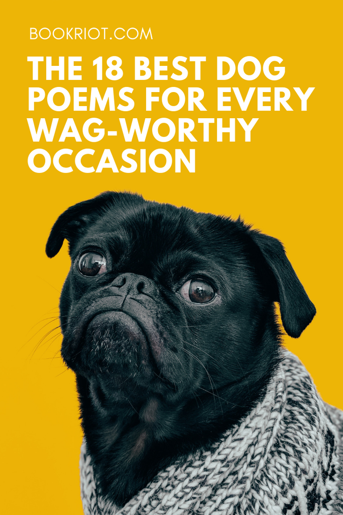 The best dog poems for when you need a reminder of your tail-wagging bestie. dog poems | poems about dogs | dogs | poetry lists | poetry to read