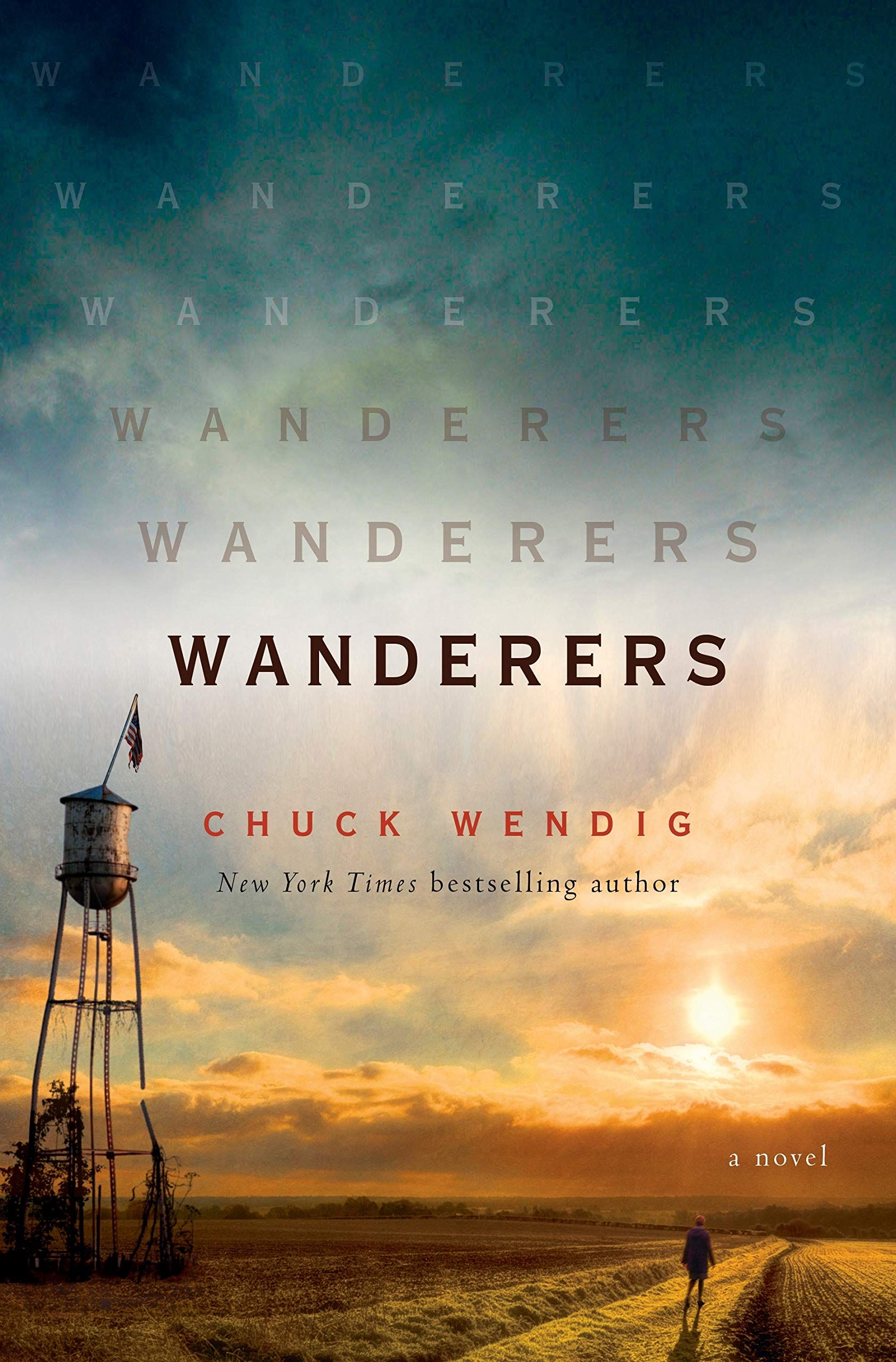 The Wanderers Book Cover