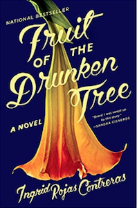 Fruit Of The Drunken Tree Ingrid Rojas Contreras cover