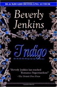 Indigo Book Cover