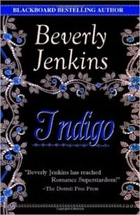 Indigo Book Cover