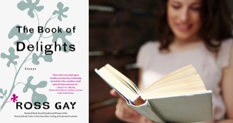 the book of delights essays