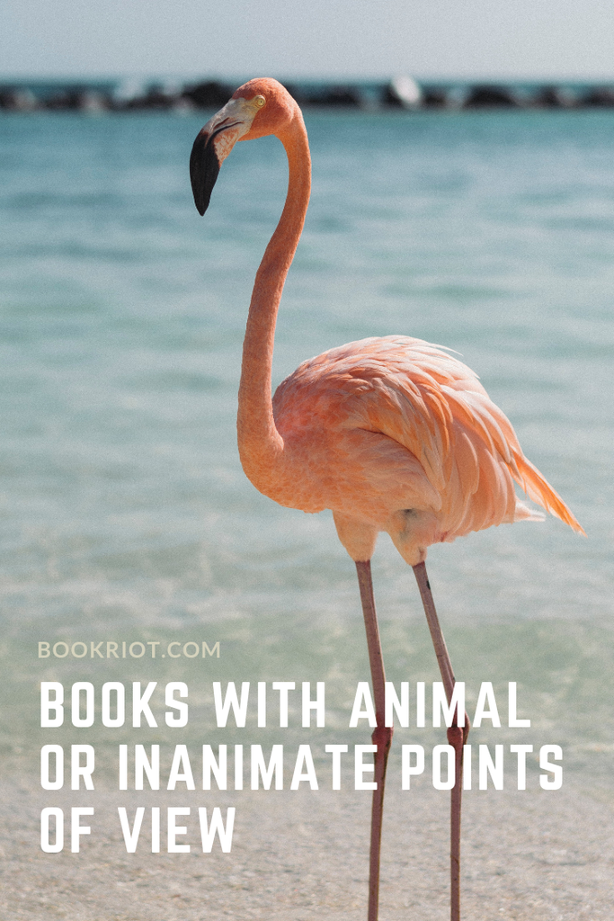 Pick up a book with an animal or inanimate point of view and change your perspective. book lists | read harder books | read harder challenge books | books with animals | books from an animal's point of view