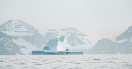 Iceberg