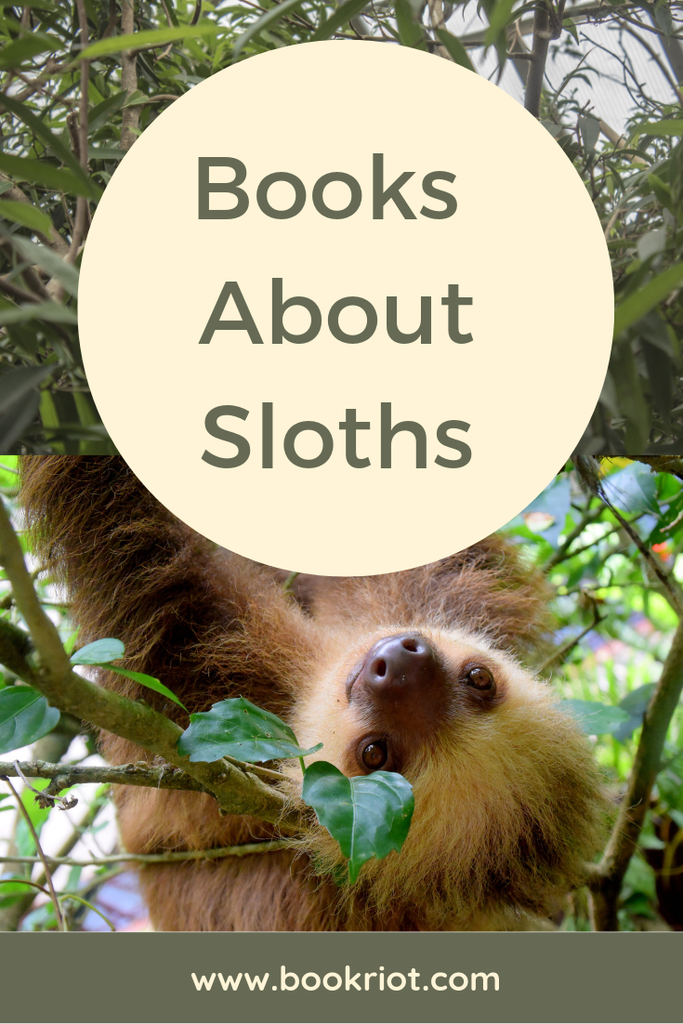 12 Irresistible Books About Sloths For Children And Adults - 68