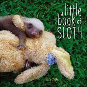 sloth picture book