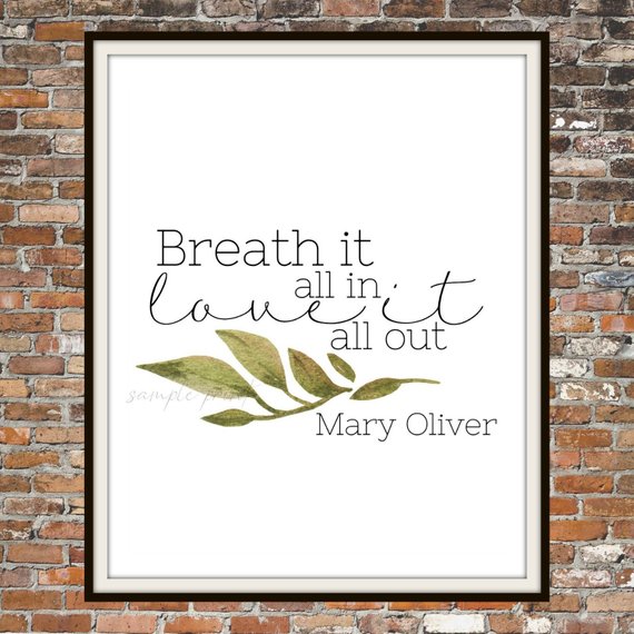 Mary Oliver Quote Prints | bookriot.com Mary Oliver | Mary Oliver quotes | Mary Oliver posters | Mary Oliver quote posters | Mary Oliver quote prints | Poetry prints | poetry on art | Mary Oliver quotes for your home | gorgeous art | poetry prints for your home | poetry | book gifts | gifts for book lovers 