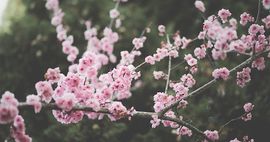 50 Spectacular New Books You Need to Read This Spring