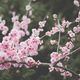 50 Spectacular New Books You Need to Read This Spring