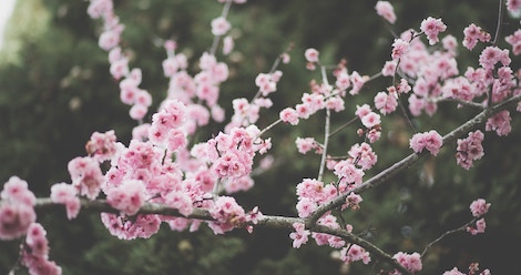 50 Spectacular New Books You Need to Read This Spring