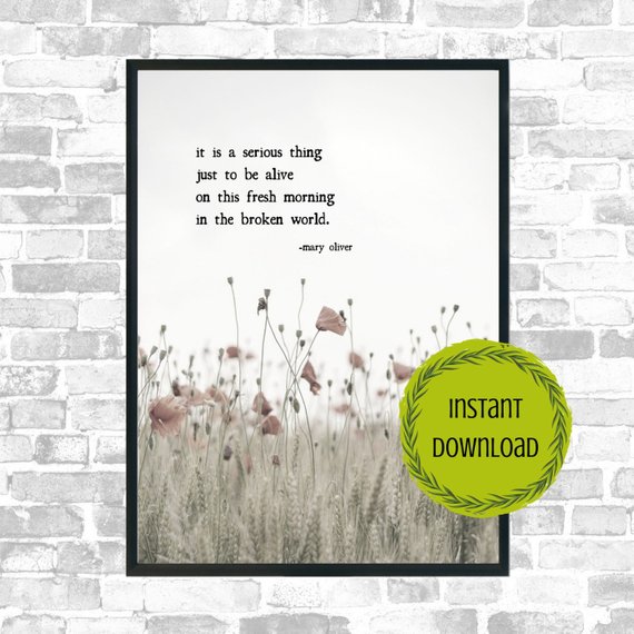 Mary Oliver Quote Prints | bookriot.com Mary Oliver | Mary Oliver quotes | Mary Oliver posters | Mary Oliver quote posters | Mary Oliver quote prints | Poetry prints | poetry on art | Mary Oliver quotes for your home | gorgeous art | poetry prints for your home | poetry | book gifts | gifts for book lovers 