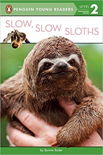 12 Irresistible Books About Sloths For Children And Adults | Book Riot