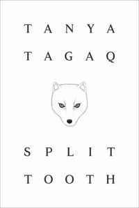 10 Works of Queer and Two Spirit Indigenous Fiction You Need To Read - 2