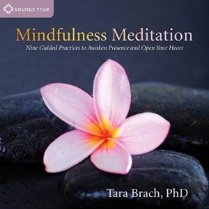 6 Meditation Audiobooks to Help You Harness Inner Peace - 73