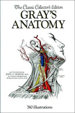 Gray's Anatomy