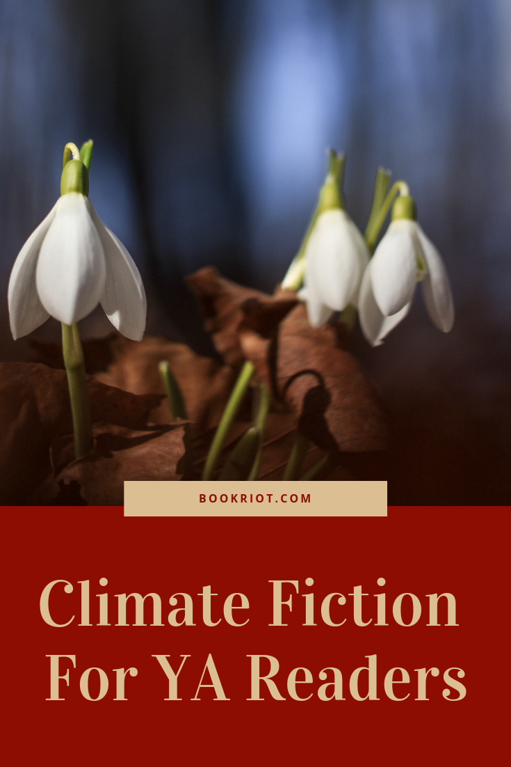 A Change on the Winds  Climate Fiction for YA Readers - 28