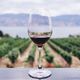 wine winery vineyard feature 470x248