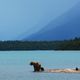 Alaska feature