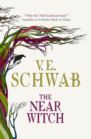 Reading Pathways  V E  Schwab Books - 96