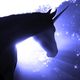 unicorns fantasy feature
