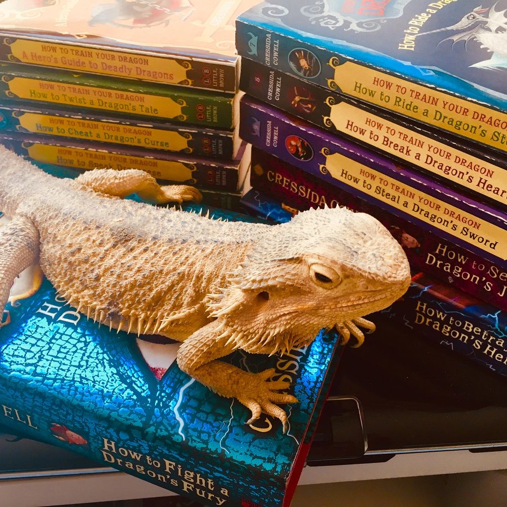 We Love Bookish Pets  A Gallery of Our Furry Friends   Our Books - 11