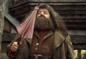 hagrid's umbrella for sale