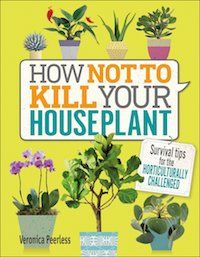 Book cover of How Not to Kill Your Houseplants