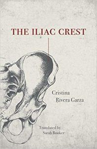 book cover of The Iliac Crest