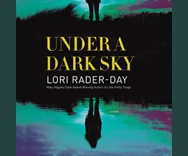 Under A Dark Sky audiobook cover image