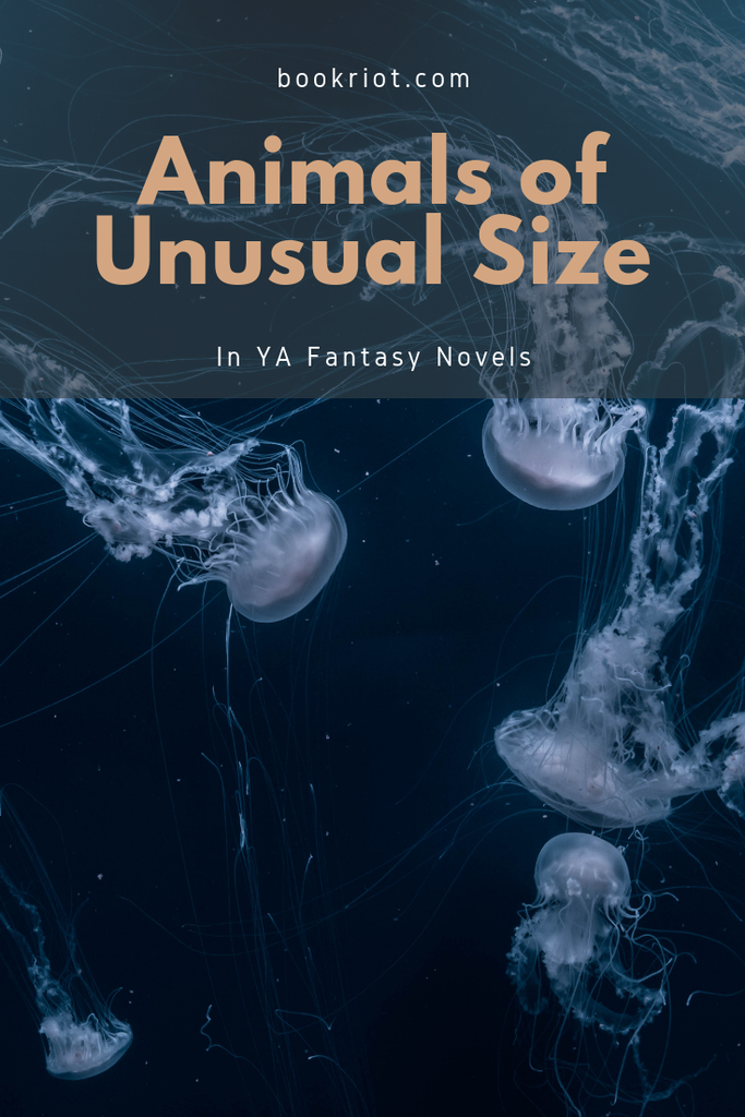 "I would like to spend my time imagining quite giant animals or very tiny ones, and anything else is a waste of my imaginative energies [...] I’m here to talk about books that magnify the squee-factor in any of our beloved animals. " book lists | fantasy animals | giant animals | tiny animals | YA fantasy books | young adult book lists | #YALit