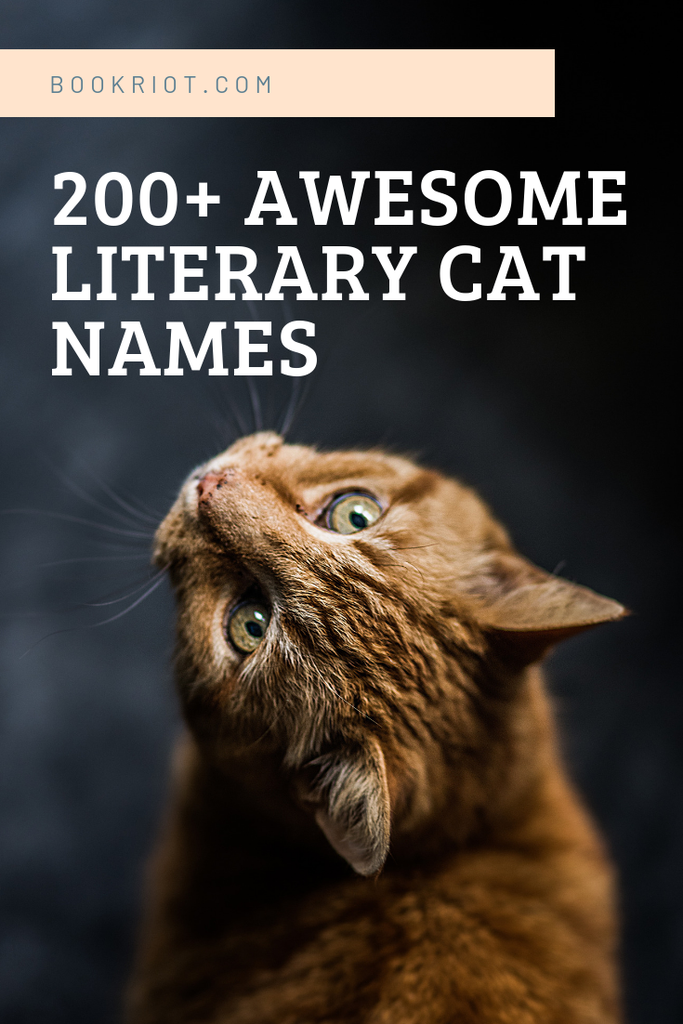 200+ Literary Cat Names For Naming Your New Pet | Book Riot