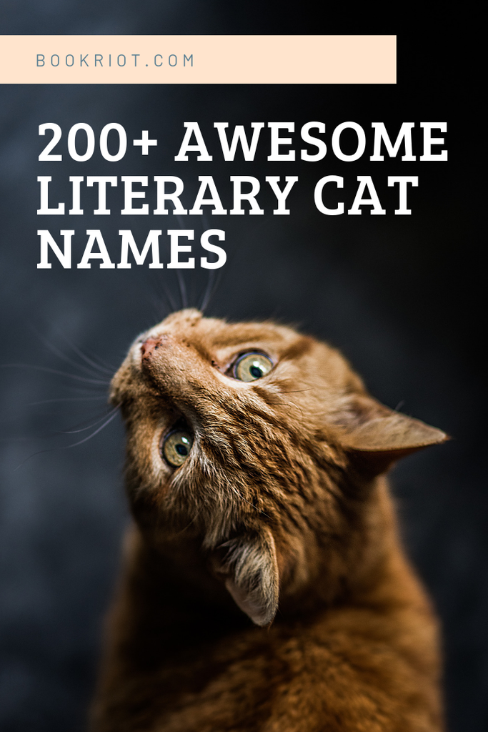 200 Literary Cat Names For Naming Your New Pet Book Riot