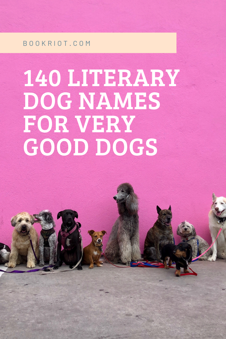 130-literary-dog-names-for-the-very-best-bookish-dogs-book-riot