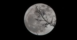 moon evening night horror feature