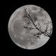 moon evening night horror feature