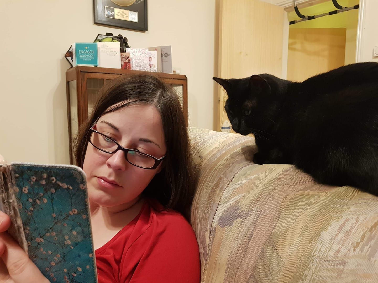 How to Teach Your Cats to Read Book Riot