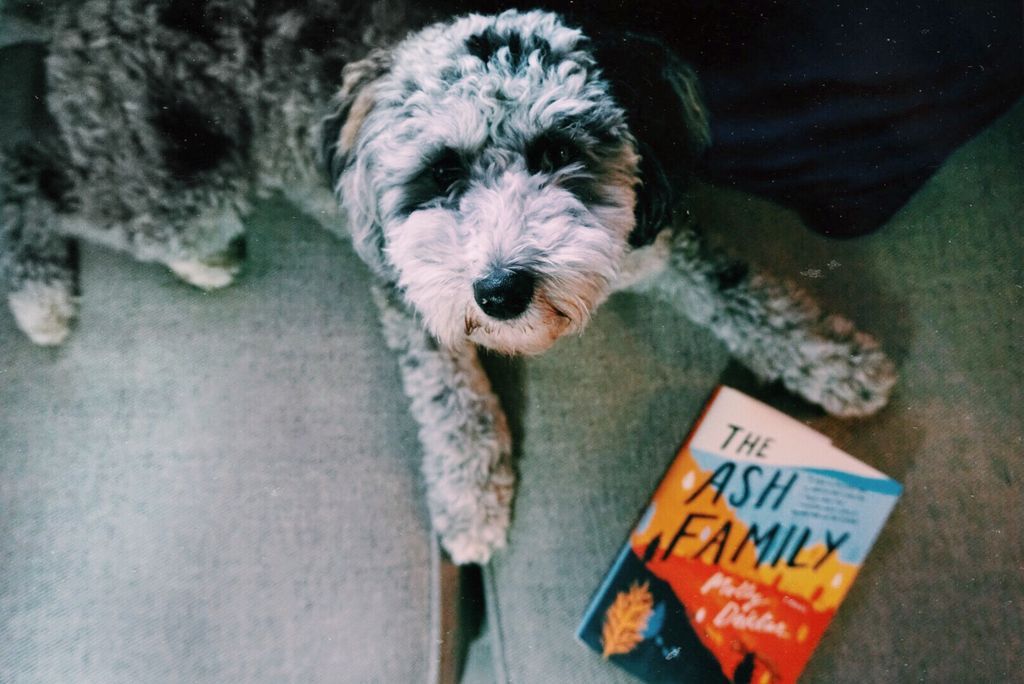 We Love Bookish Pets  A Gallery of Our Furry Friends   Our Books - 10