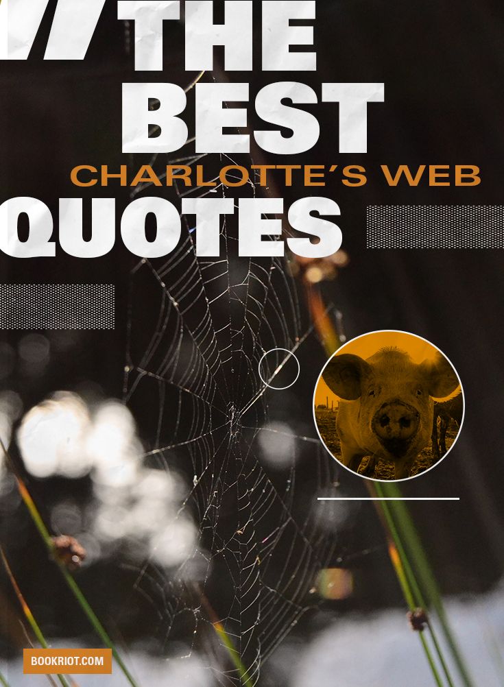 The Best Charlotte s Web Quotes For Sunny Days   Book RIot - 85