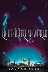 The Light at the Bottom of the World cover image