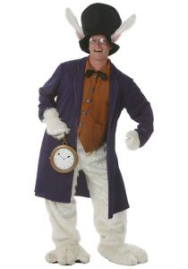 alice in wonderland costume adult